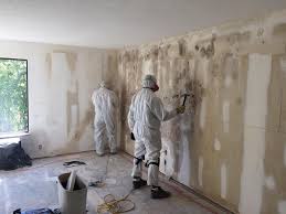 Reliable Lake Waynoka, OH Mold Removal Services Solutions